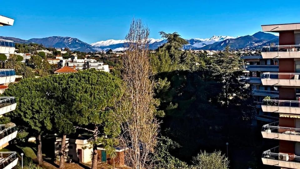 Mountain view