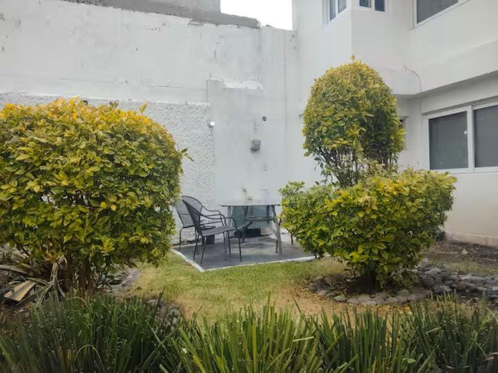 Garden, Garden