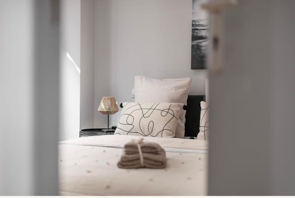 Appartement luxueux compans caffarelli climatiseur parking privé gratuit jardin japonais 4 personnes Apartment in Toulouse