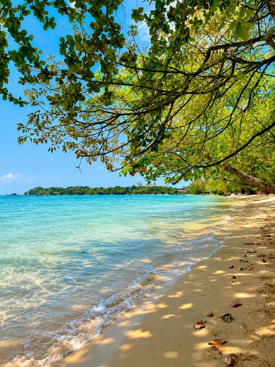 Nearby landmark, Natural landscape, Beach