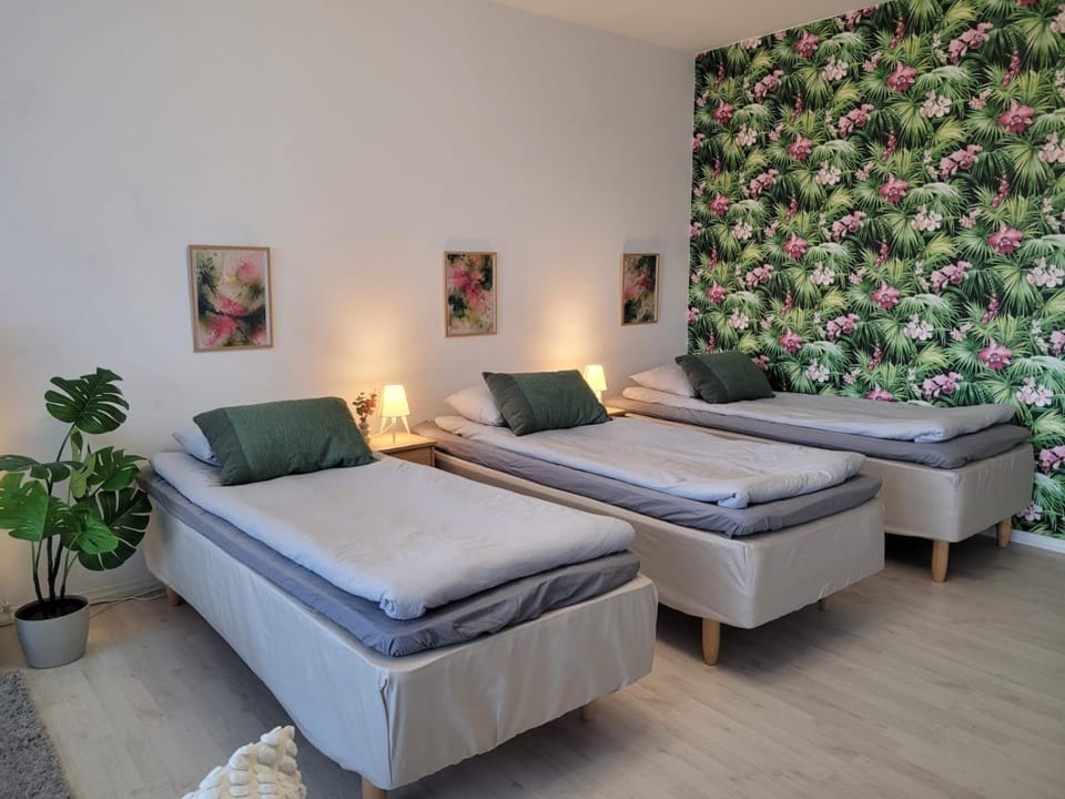 Modern 70m2 apartment, downtown, Smart TV, sleeps up to 8 people! Apartment in Finland