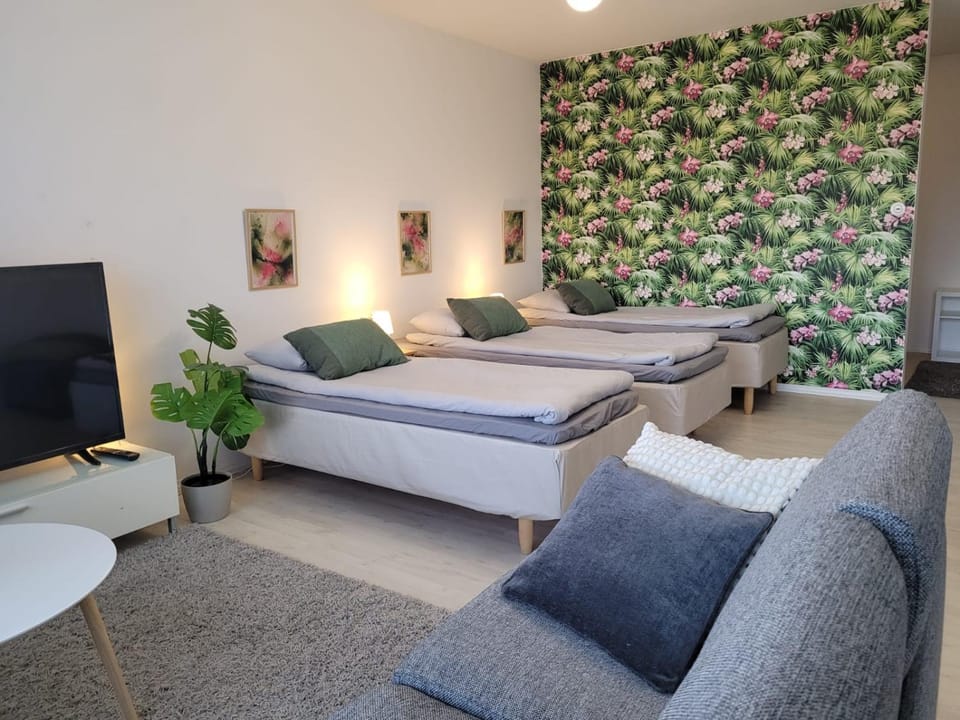 Modern 70m2 apartment, downtown, Smart TV, sleeps up to 8 people! Apartment in Finland