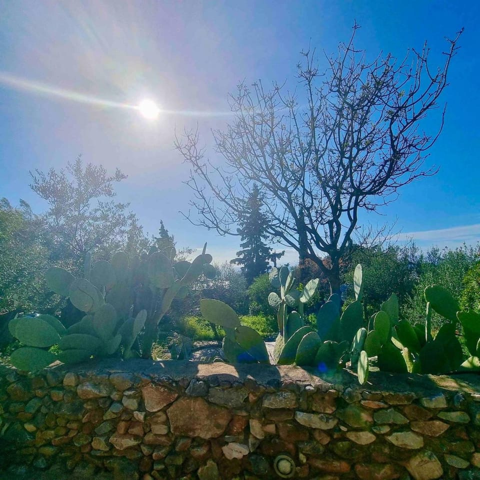 The Art House House in Messenia