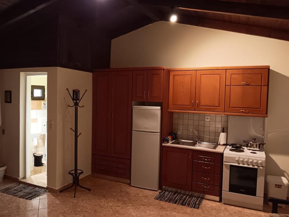 Villa Pasas Apartment in Peloponnese Region