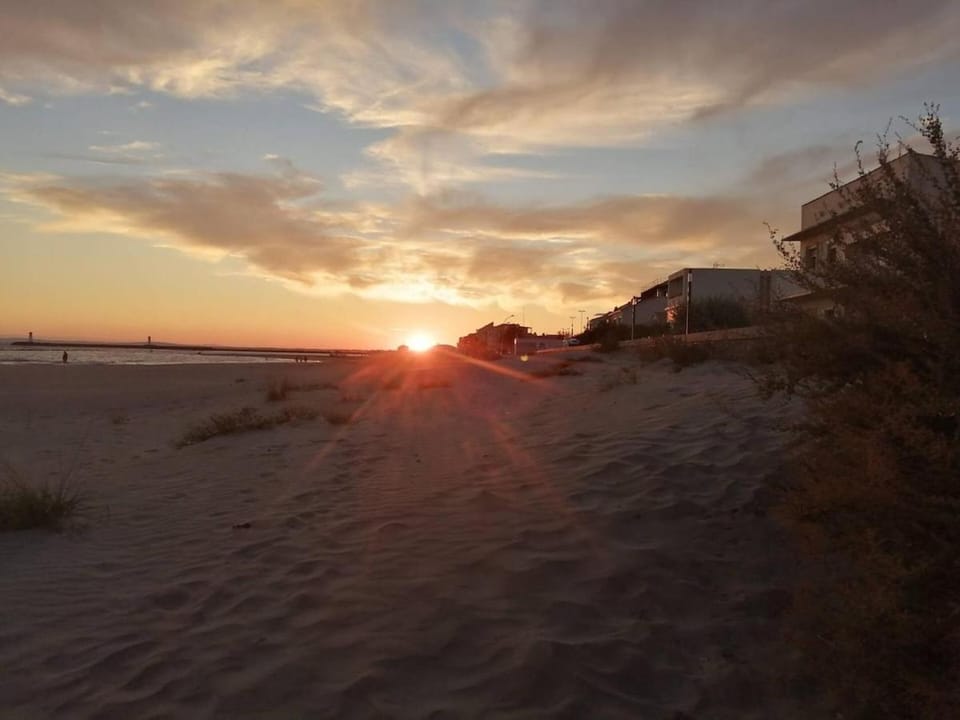 Beach, Sunset