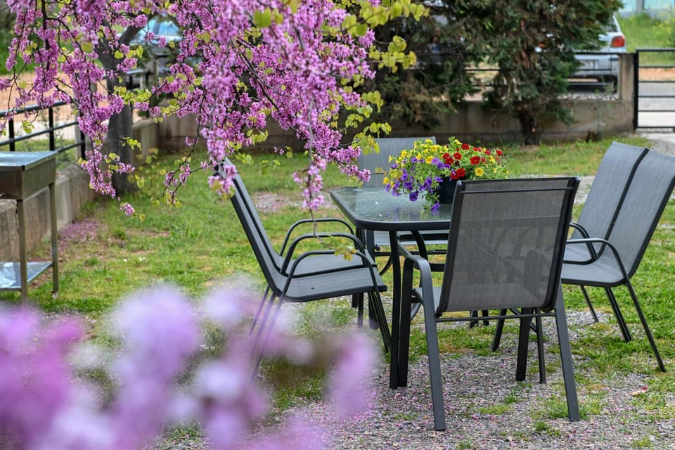 Patio, Spring, Day, Garden, Dining area, Garden view