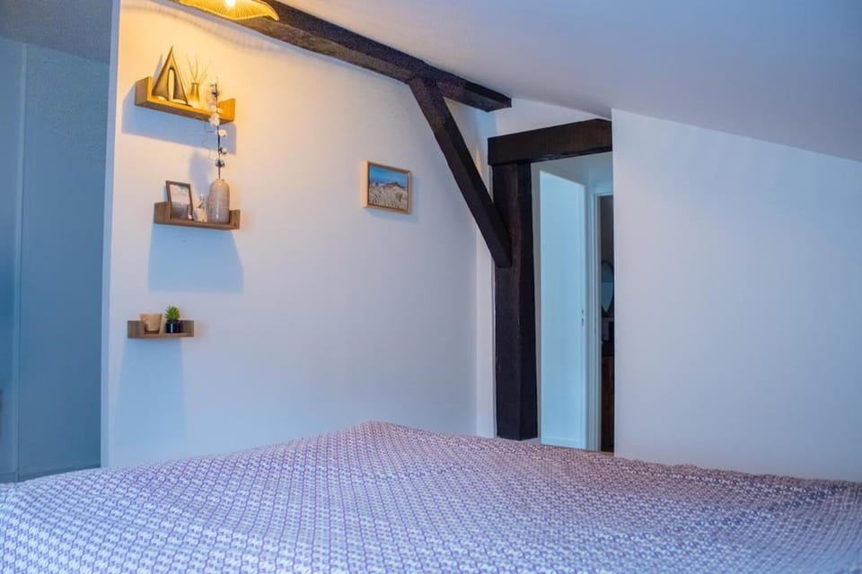 Grand appartement au cœur de Dax Apartment in Dax