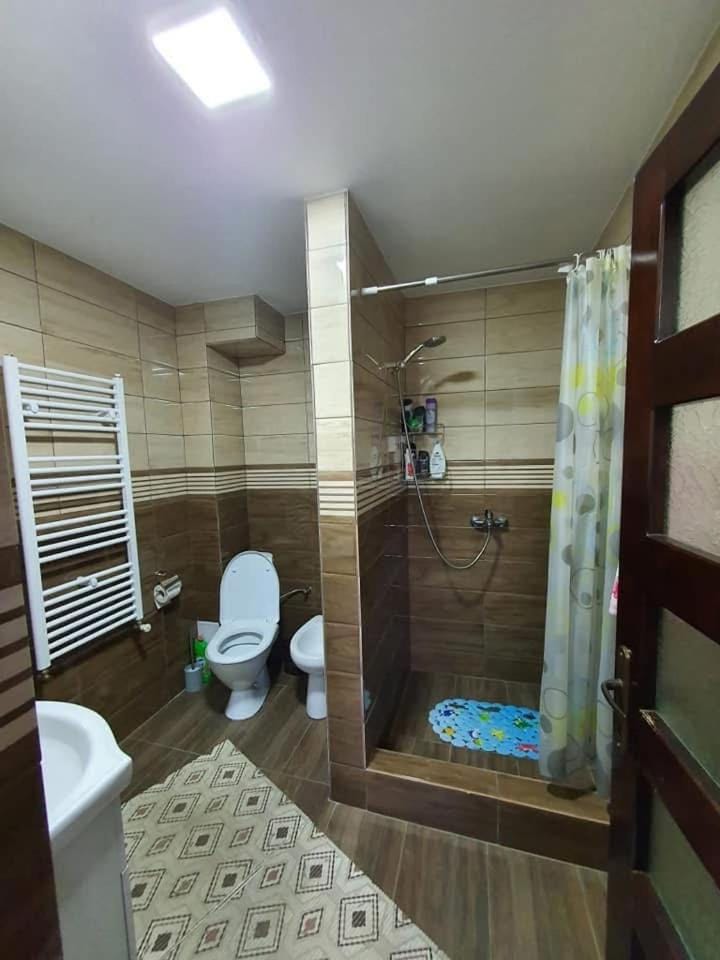 Cabana Adisor House in Romania