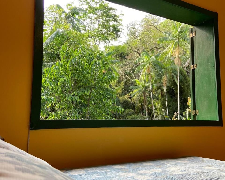 Casa de sítio com piscina natural House in Nova Friburgo