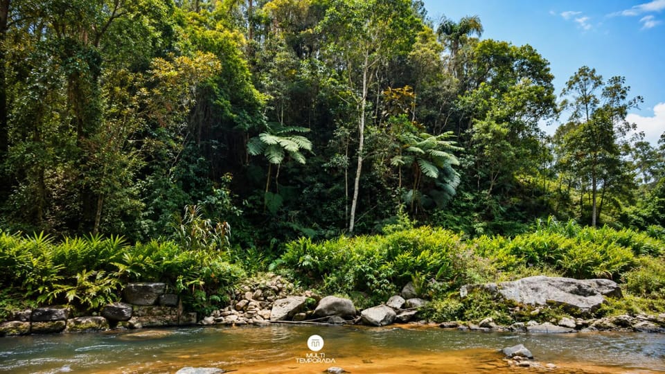 Natural landscape