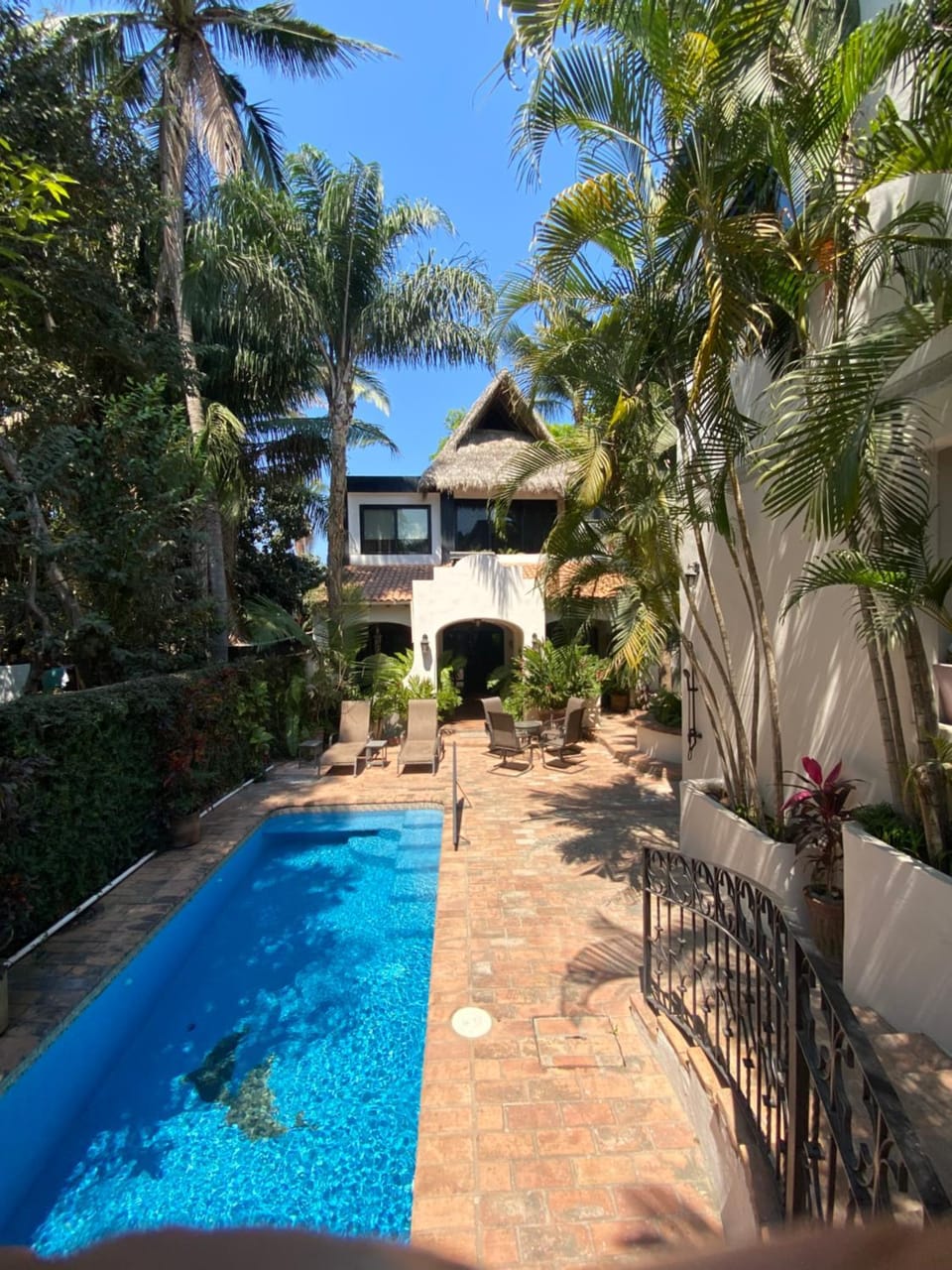Property building, Patio, Pool view, sunbed