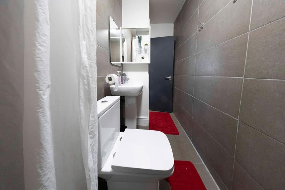 Spacious 4BR Home in Mile End Apartment in London Borough of Hackney