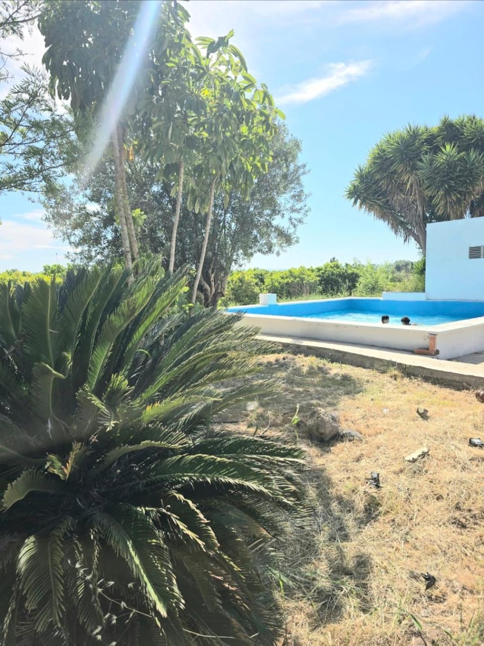 Villa Los Naranjos Villa in Valencian Community