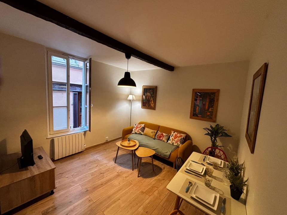 Le Cardinal - centre ville - Wifi Apartment in Troyes