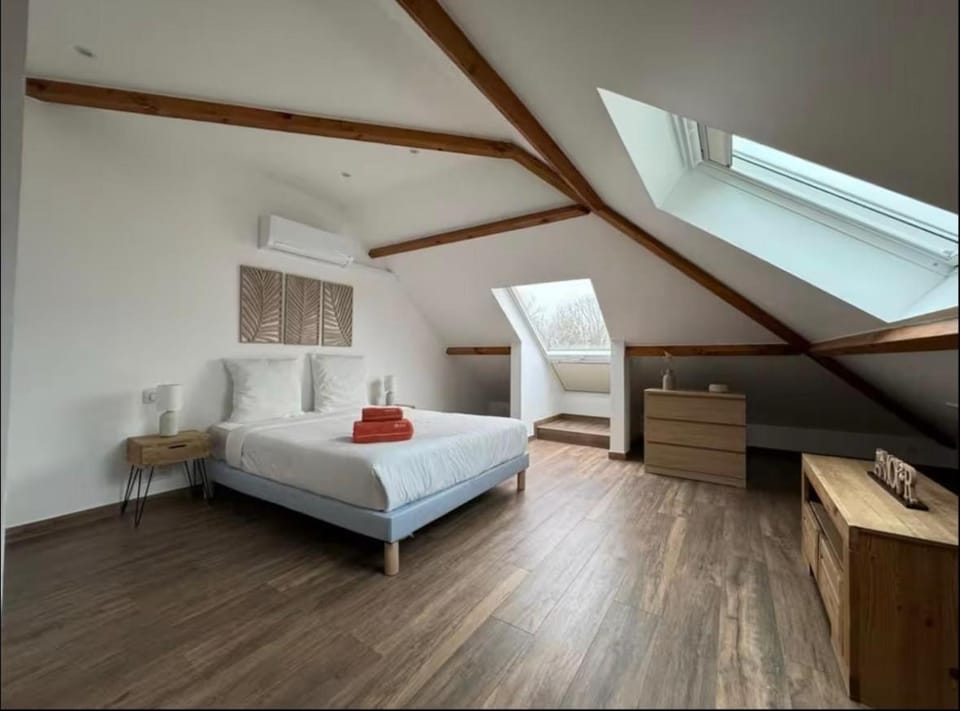Maison spacieuse avec cour privée a 10 min Disney Villa in Île-de-France