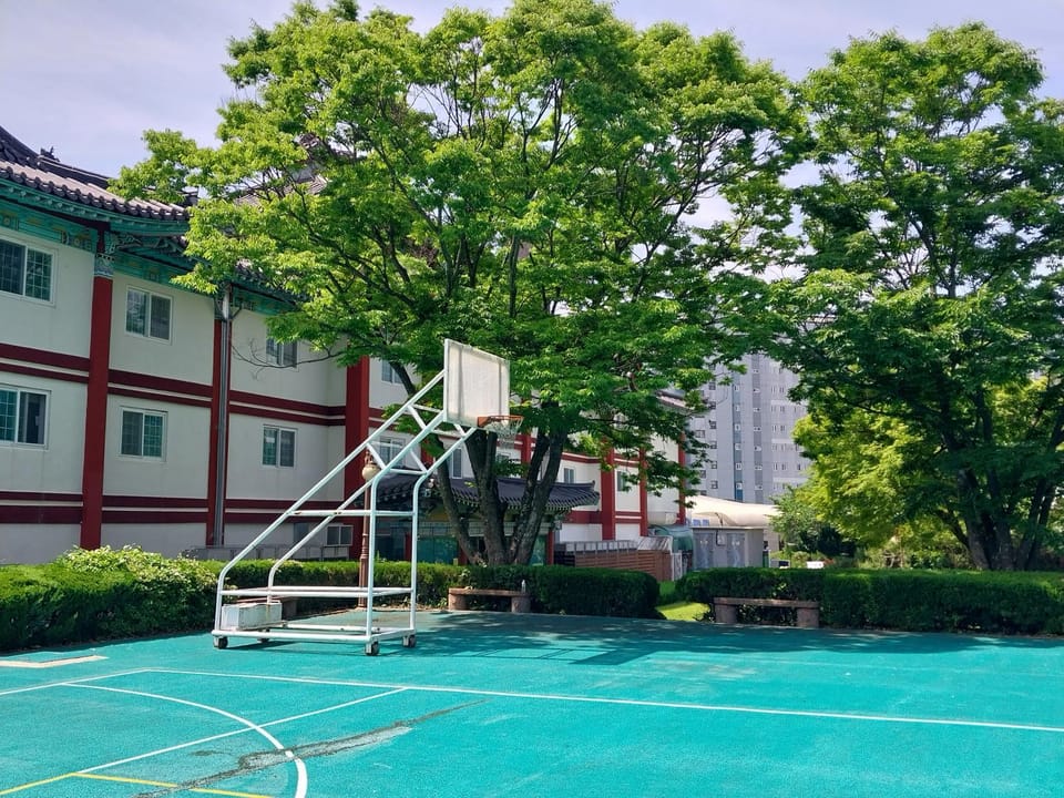 Activities, Entertainment
