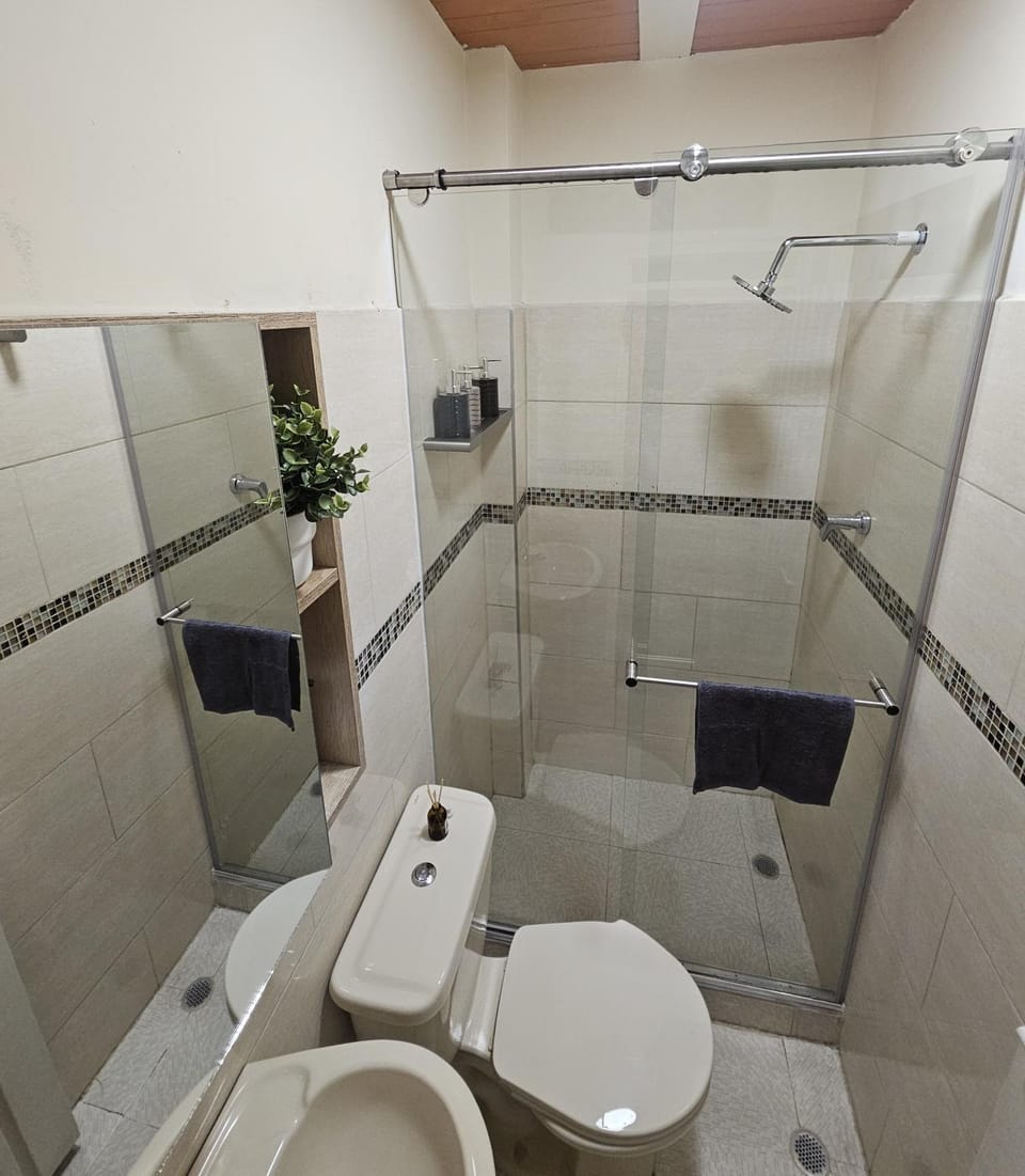 Shower, Toilet, Bathroom, towels