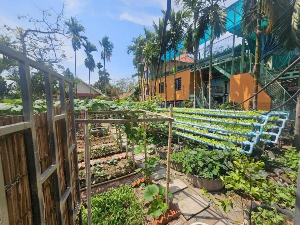 Garden, Garden view, Garden view