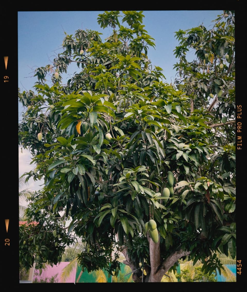 Blue Diamond Homestay - Garden View Hotel in Kien Giang