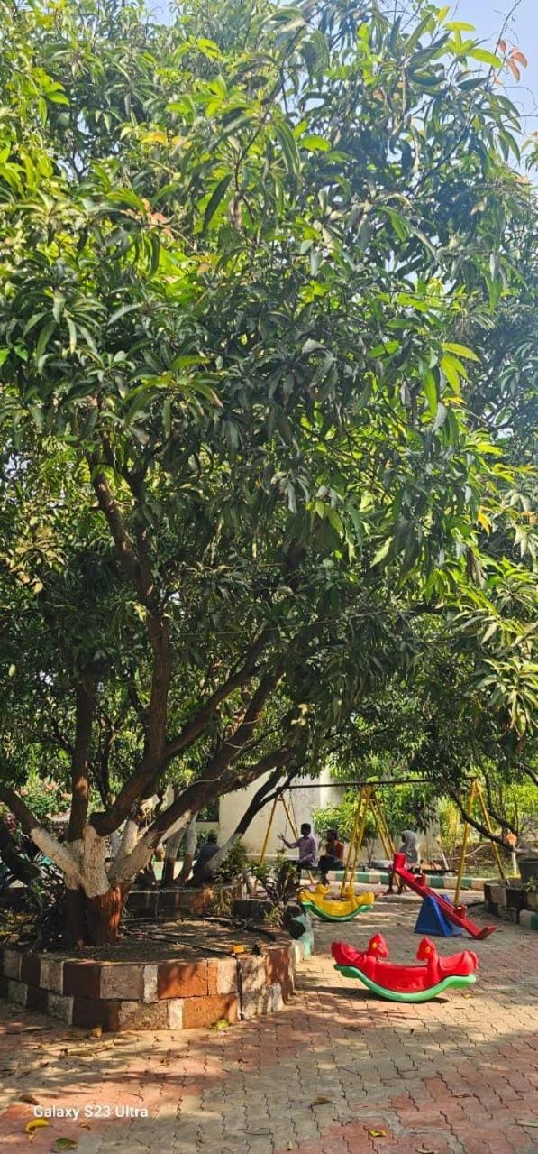 Hotel Saffron Indian Spice Resort Farm Stay in Gujarat