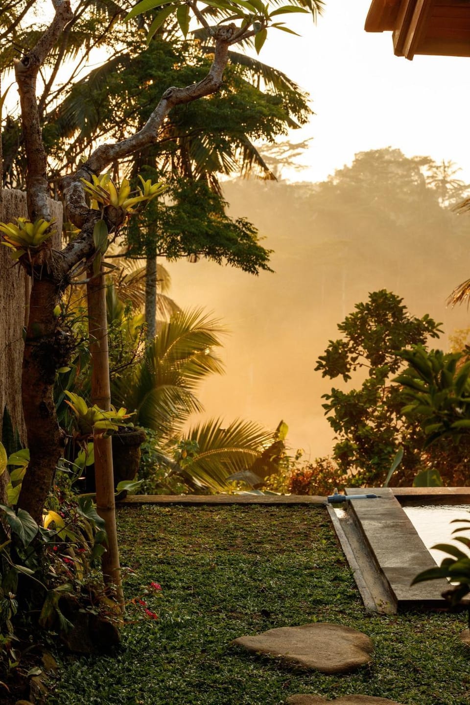 Garden view