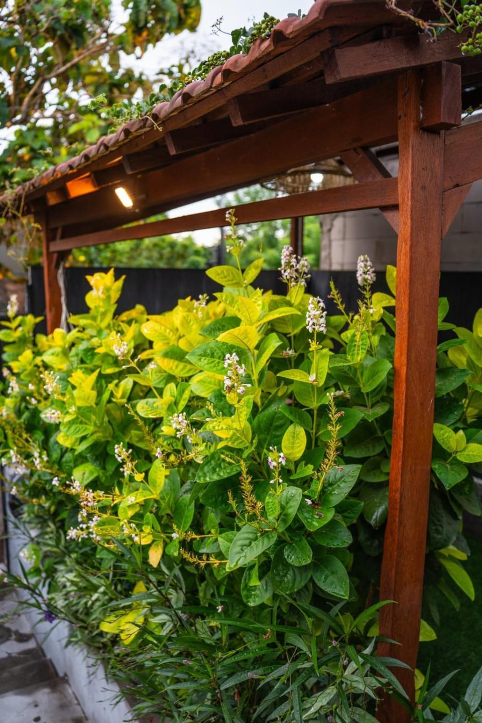 Uluwatu Nelson villa Villa in Bali