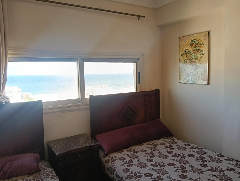 شاطىء النخيل Apartment in Alexandria Governorate