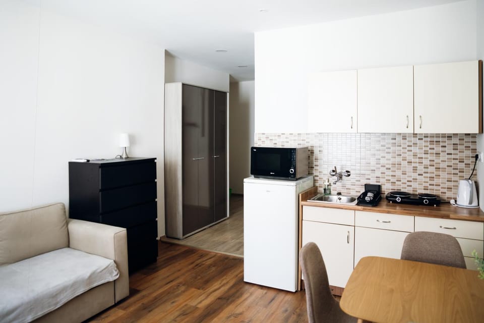 Kitchen or kitchenette, Living room, microwave, stove