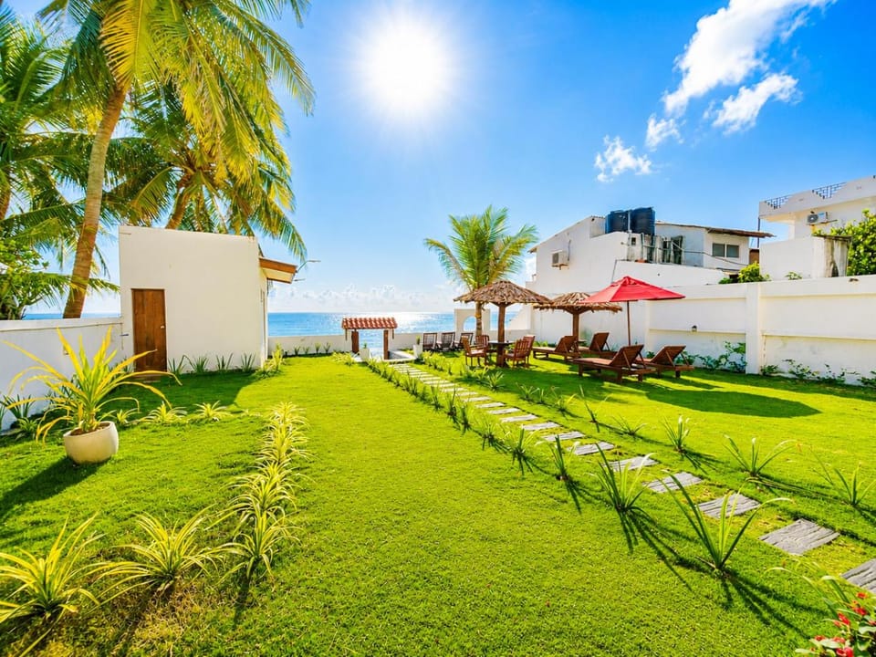 Property building, Day, Natural landscape, Garden, Beach, Garden view, Sea view, sunbed