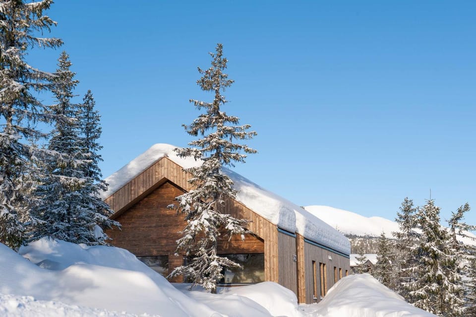 TH2027- Spacious mountain cabin in Trysilfjell with sauna Cabin in Innlandet