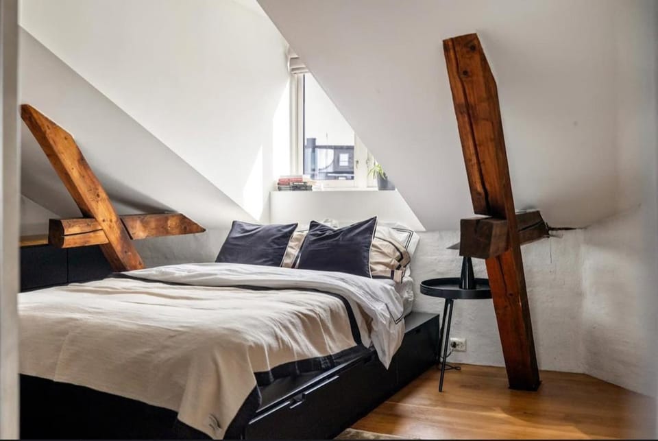 Scandinavian loft on Frogner Apartment in Oslo