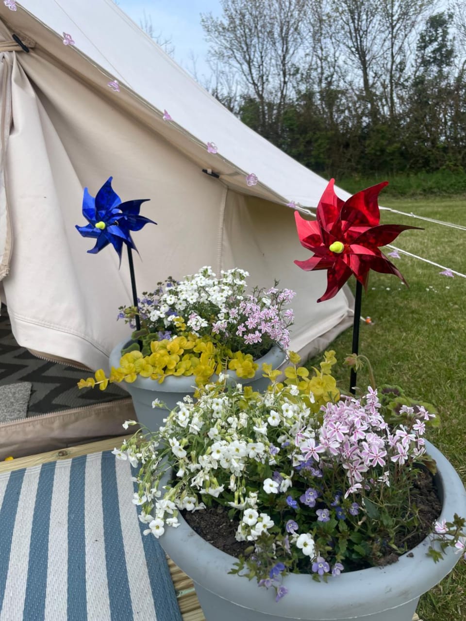Country PUPkins Camping Luxury tent in East Devon District