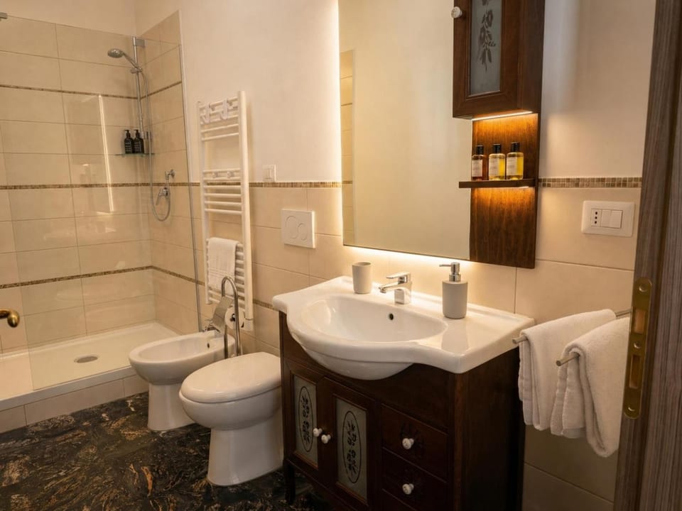 Shower, Toilet, Bathroom, bidet, towels