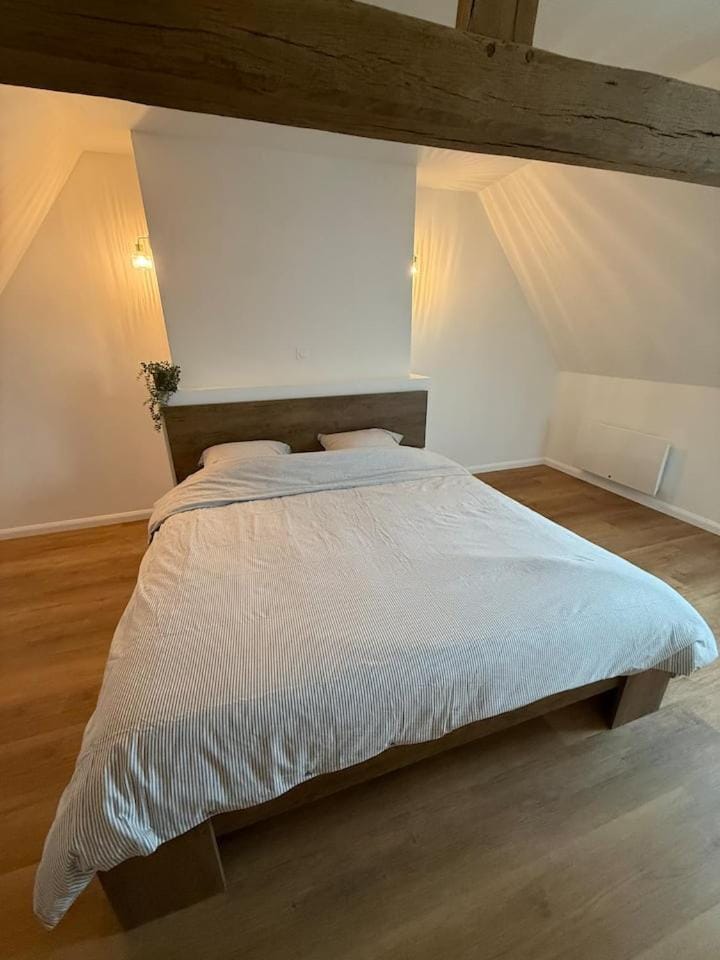 Bed, Photo of the whole room, Bedroom