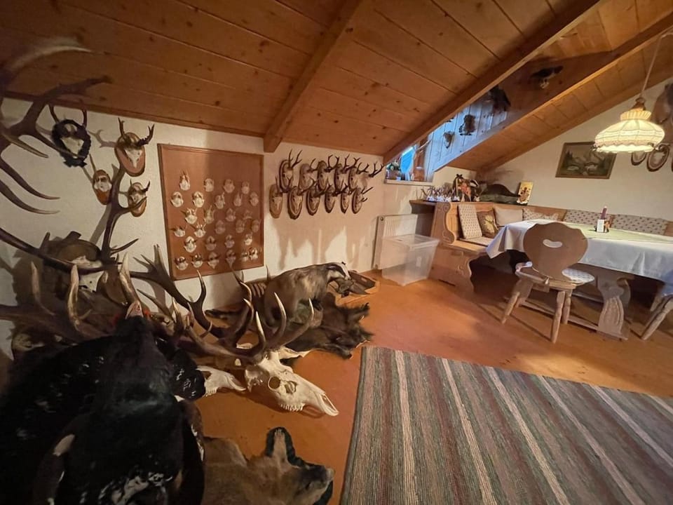 Family Apartment beim Schmankerlwirt Apartment in Upper Austria