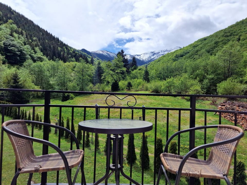 Wild River Cottage Chalet in Brașov County