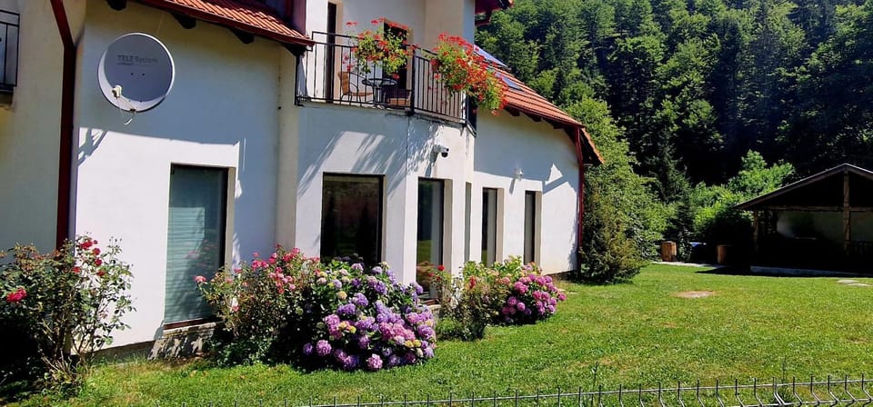 Wild River Cottage Chalet in Brașov County