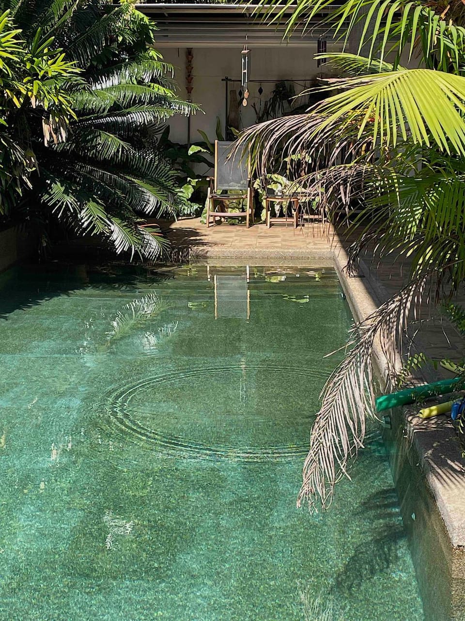 Day, Natural landscape, Garden, Balcony/Terrace, Garden view, Pool view, Swimming pool