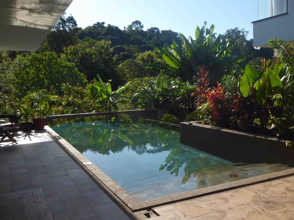 Garden, Snorkeling, Swimming pool, Sports