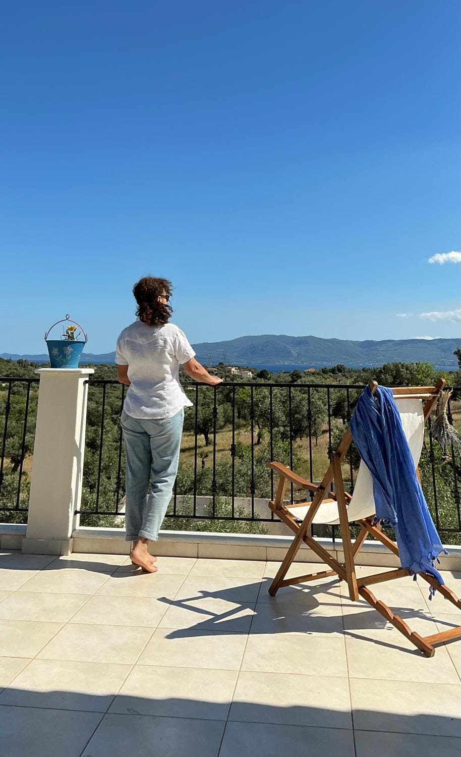 Horizon House, with Olive Grove and a small Vineyard Villa in Euboea
