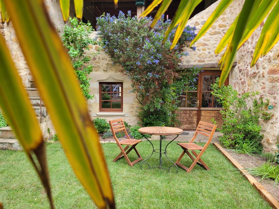 Property building, Patio, Spring, Day, Garden, Dining area, Garden view, sunbed