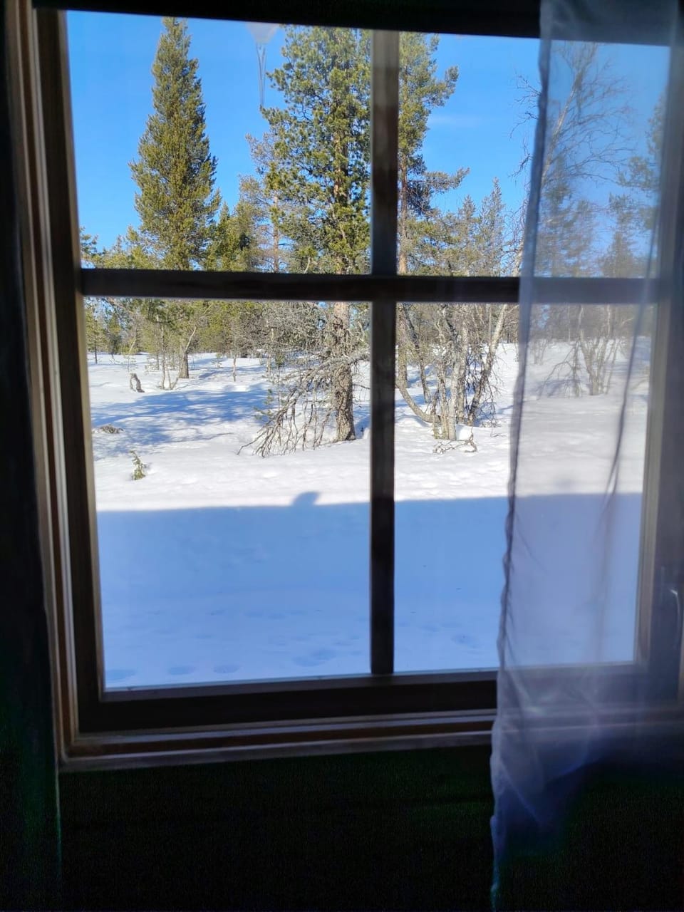 Metsäkoti Apartment in Lapland
