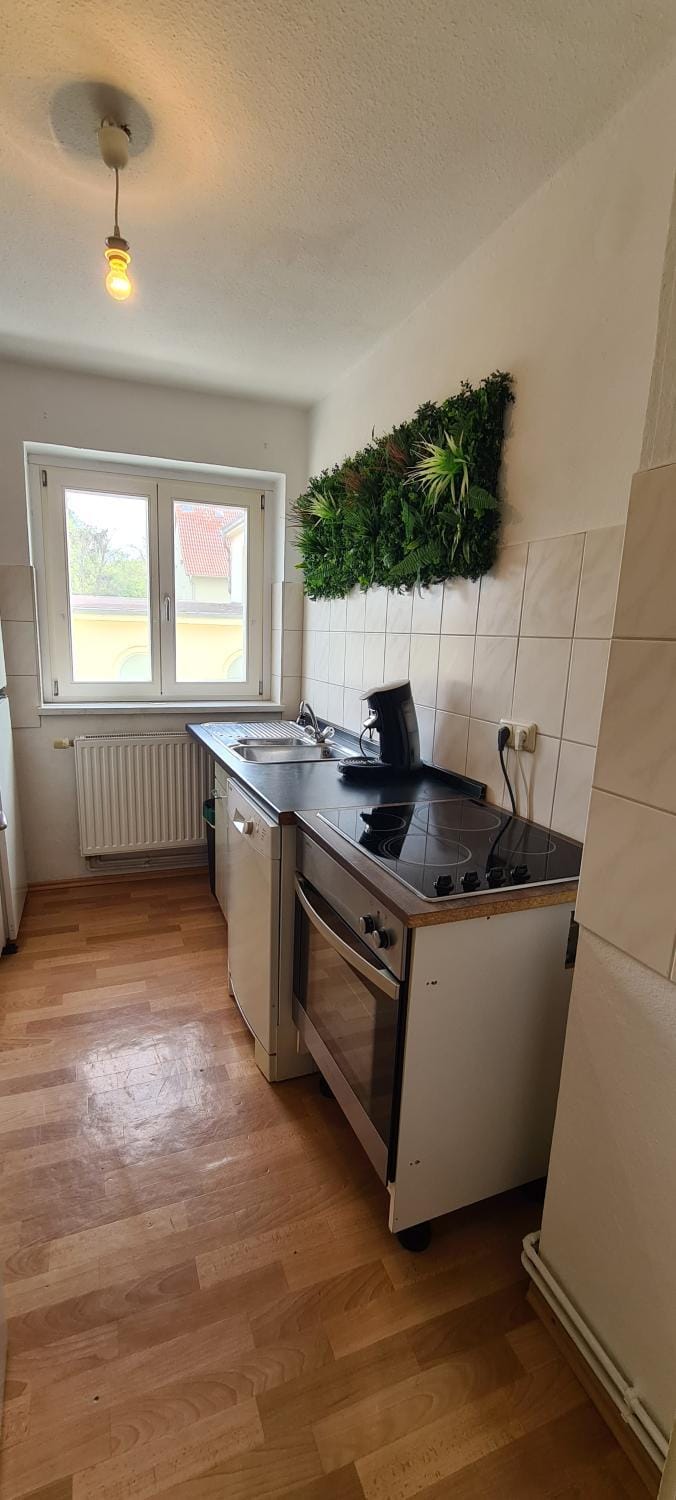 Kitchen or kitchenette, kitchen