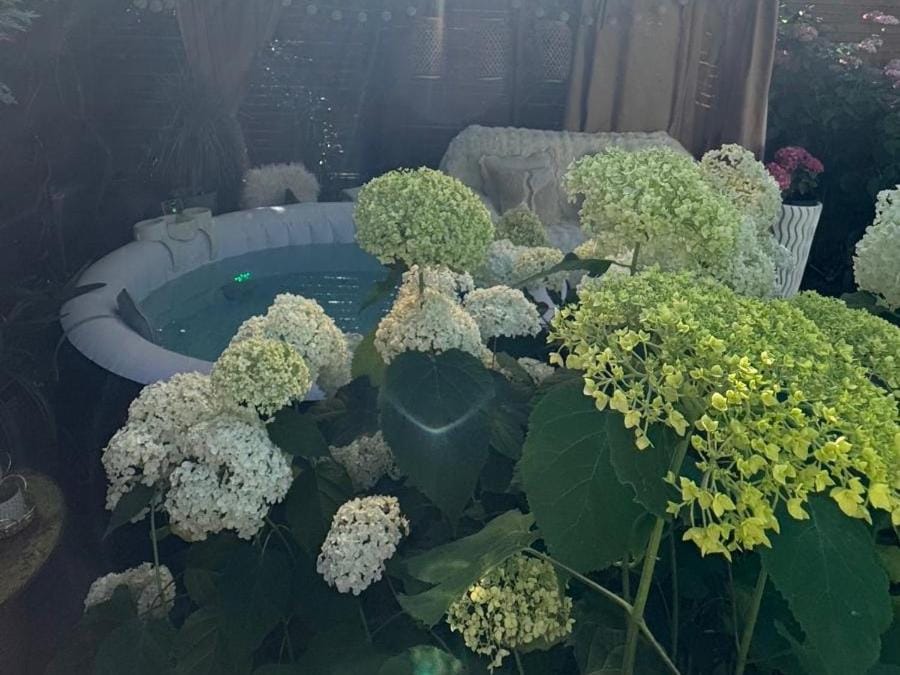 Perle am Rande von Berlin mit Terrasse, Whirlpool & Natur pur Apartment in Germany