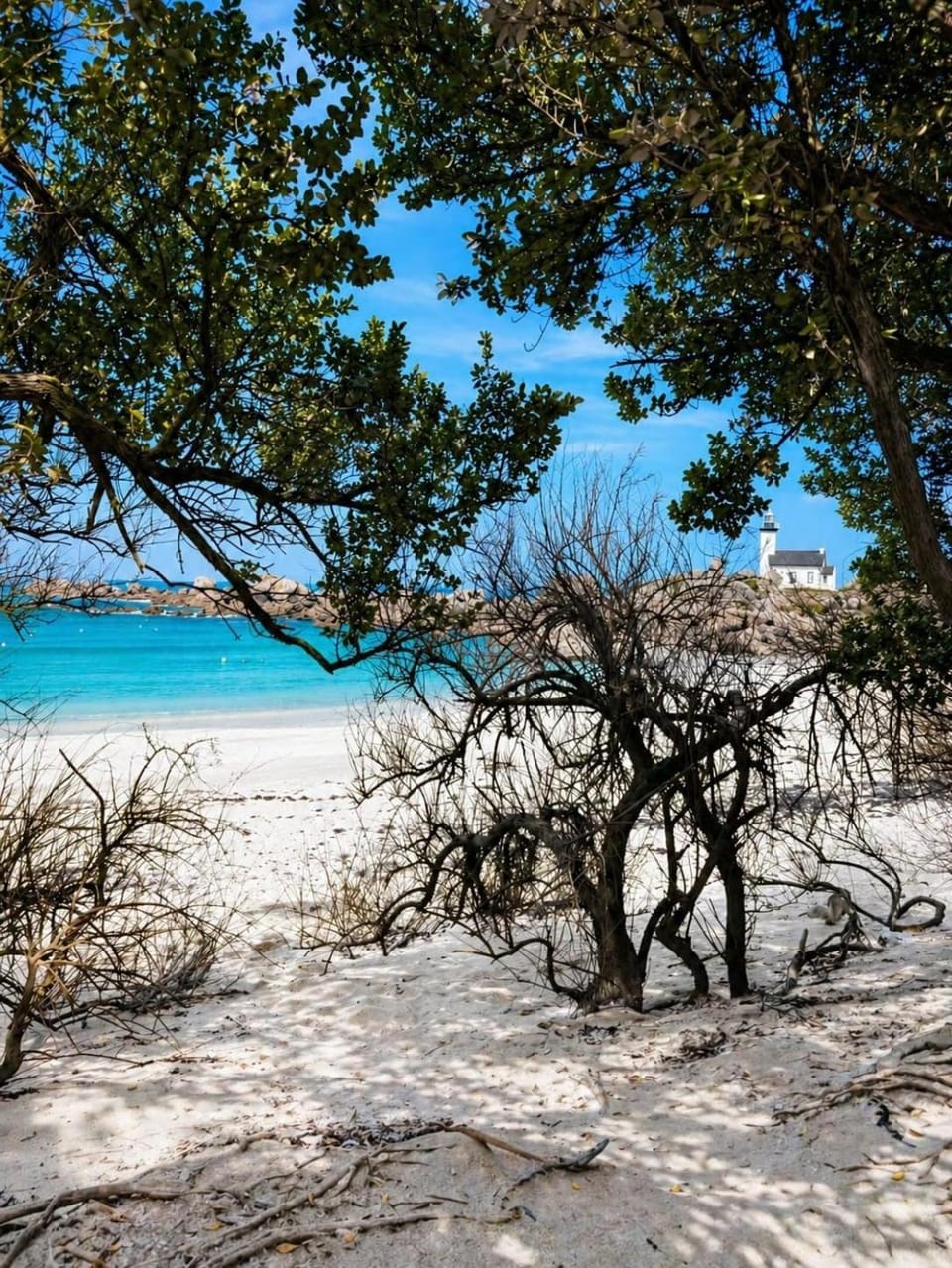 Nearby landmark, Natural landscape, Beach