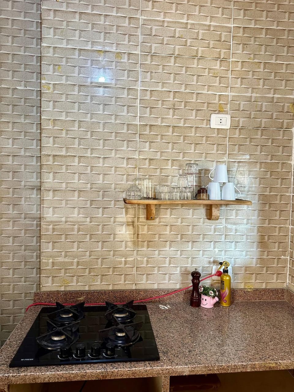 Coffee/tea facilities, Kitchen or kitchenette, minibar, stove