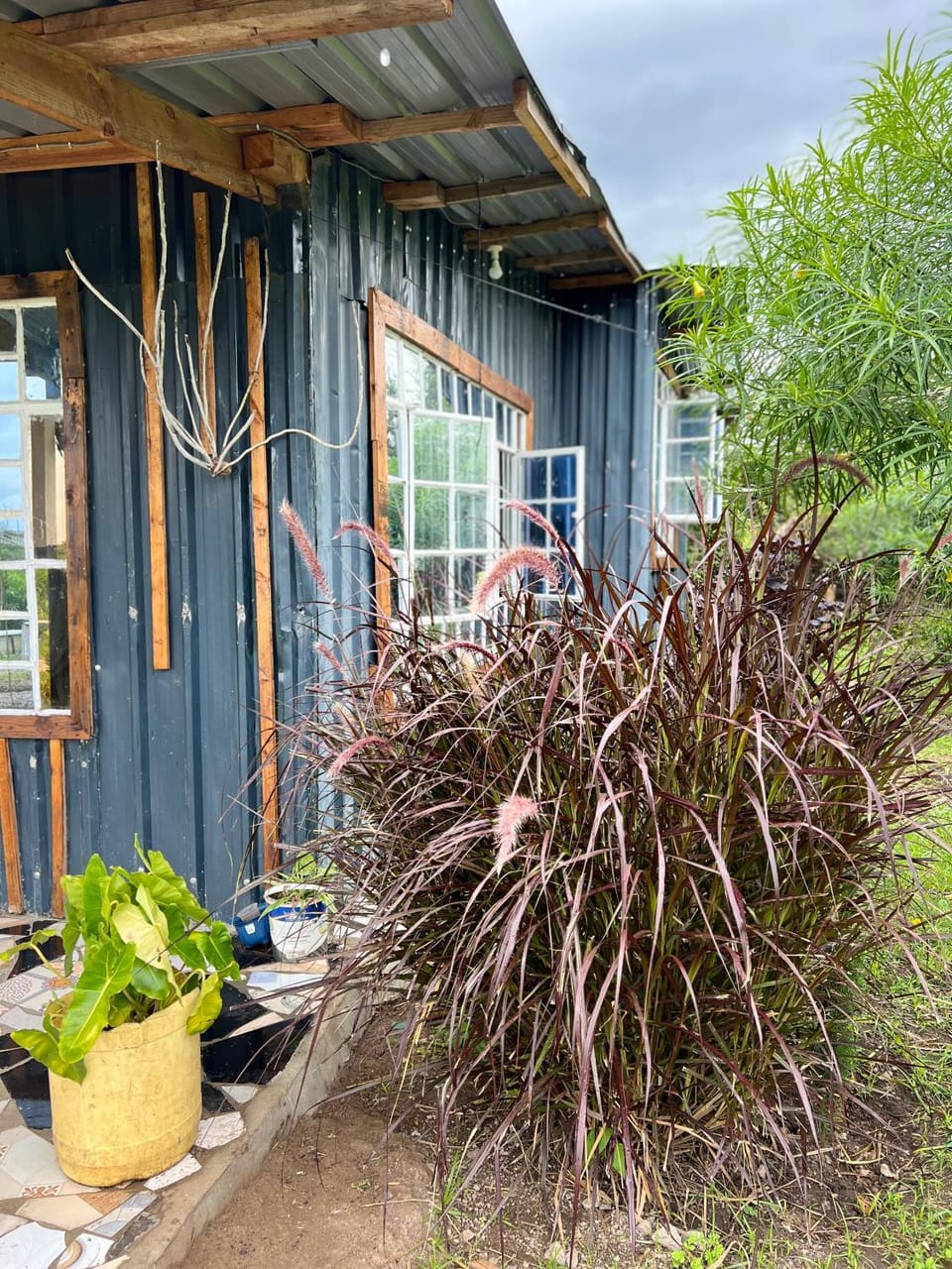 D's FarmStay House in Kenya