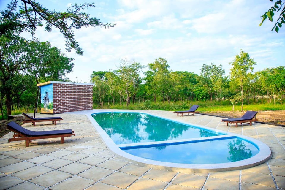 Pool view, Swimming pool