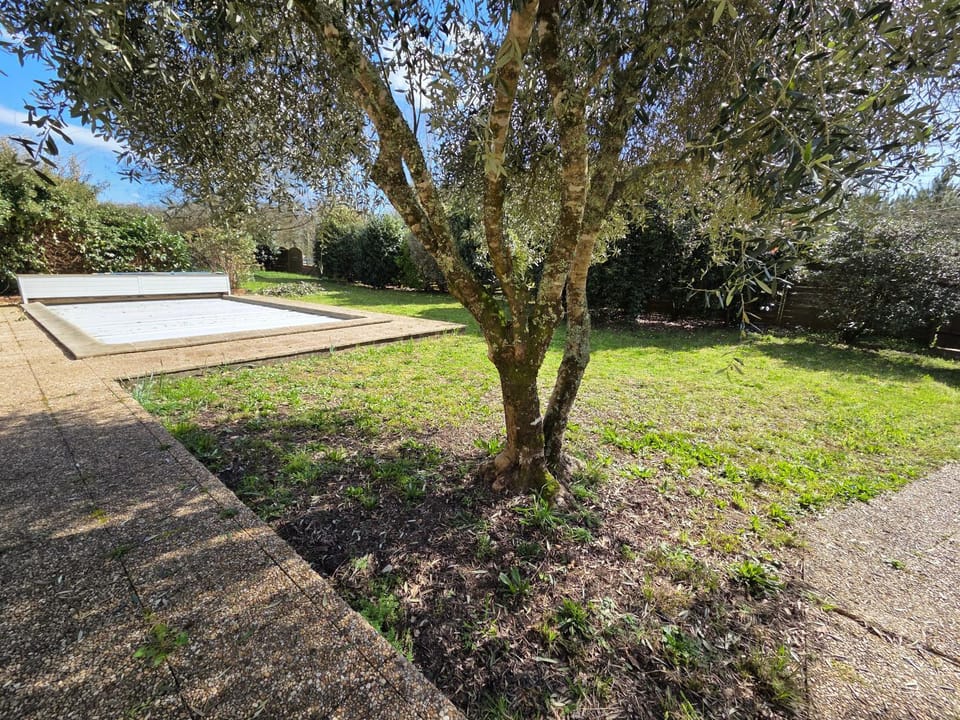 Garden, Swimming pool