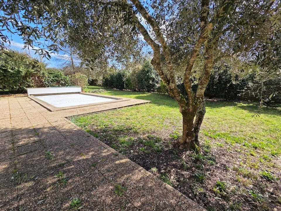 Garden, Garden view, Swimming pool